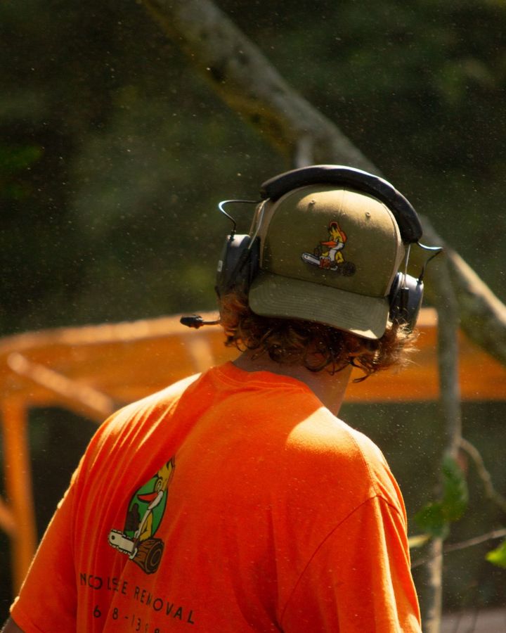 The back of a crew member in ear defenders and a green cap with the duck logo, sawdust in the air, the orange bucket behind.