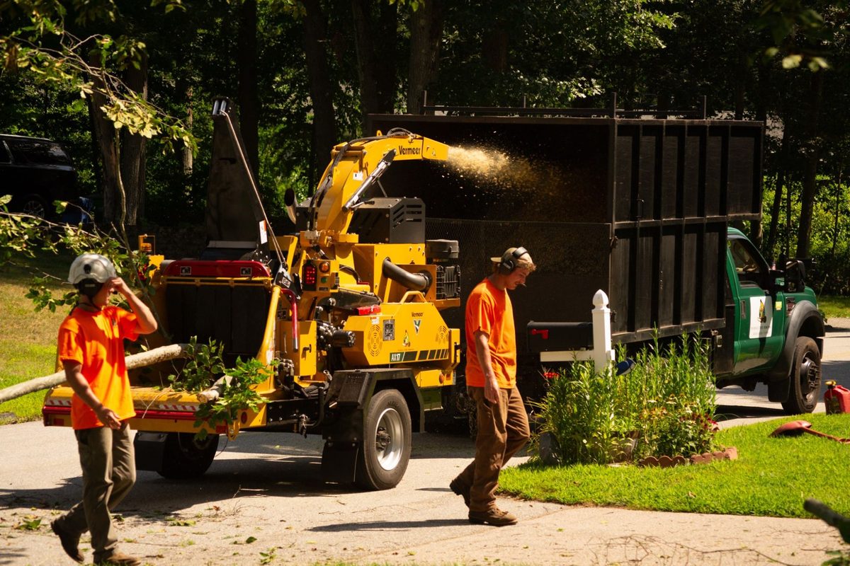 Two crew members in orange walking away from a Vermeer chipper throwing chips into the green Nichols Tree Removal chip truck.