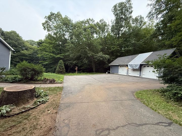The same driveway cleared: a cut stump in the bed beside it, the drive swept, a tarp over part of the garage roof.