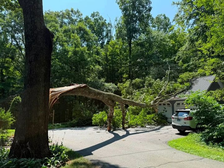 A tree trunk split open and laid across a driveway, its crown resting against a garage, an SUV parked beside it.